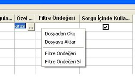 Rapor sihirbası sql tanımlama