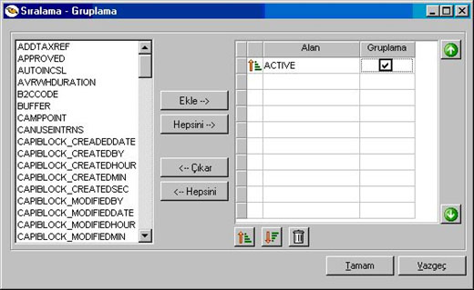 Raporlarda sırlama ve gruplama kullanımı